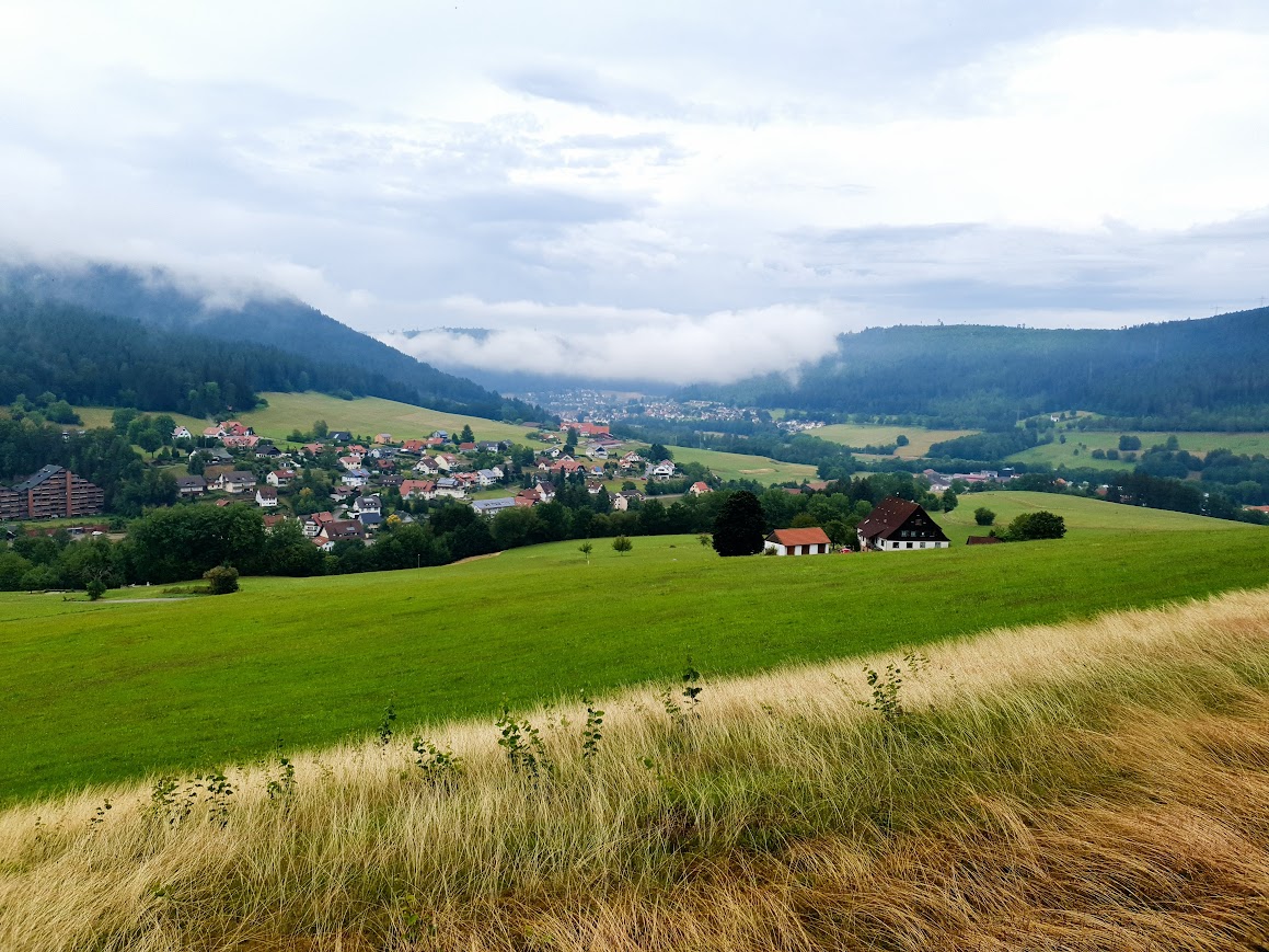 Black Forest Culture