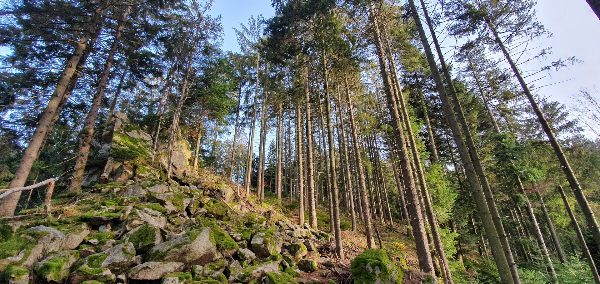Curated Hiking Routes