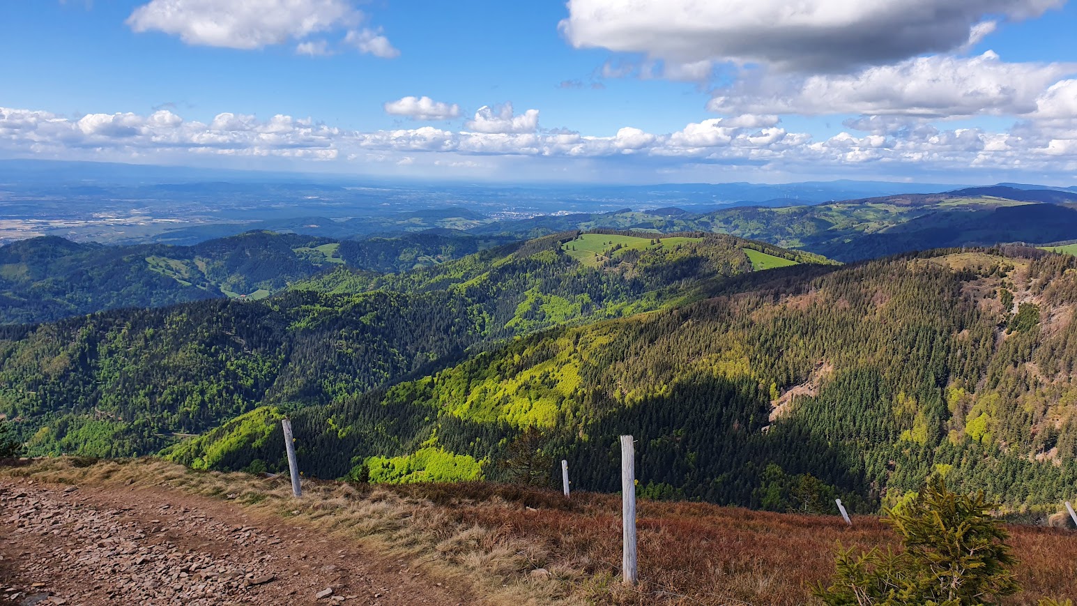 Panoramic Viewpoints